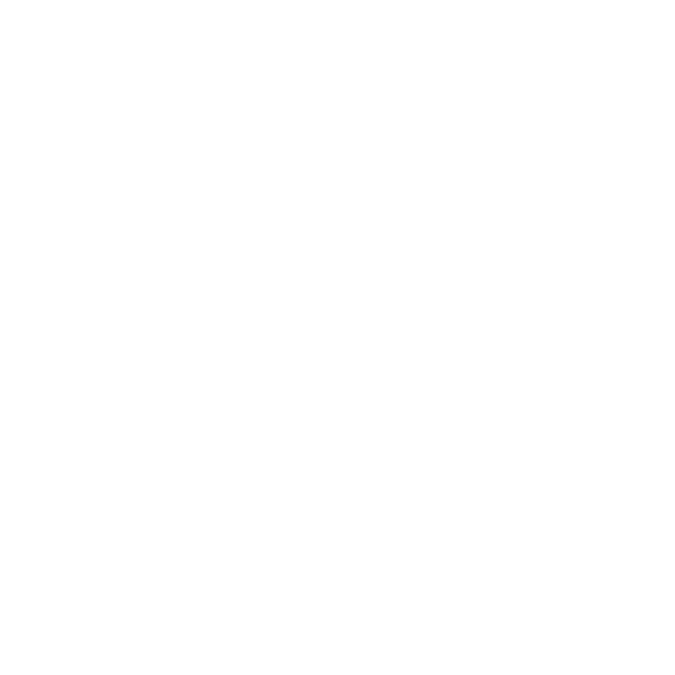 Finlandia Foundation Logo