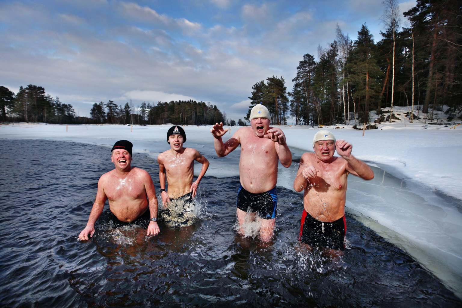 Logos and miniposters for your use Finlandia Foundation National