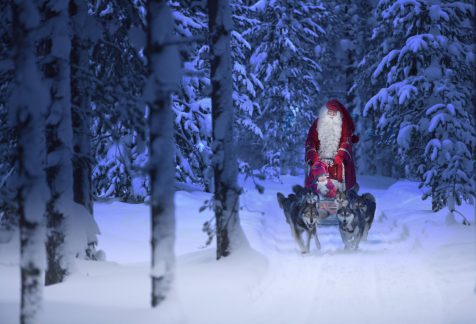 Santa in his sleigh in a snowy forest